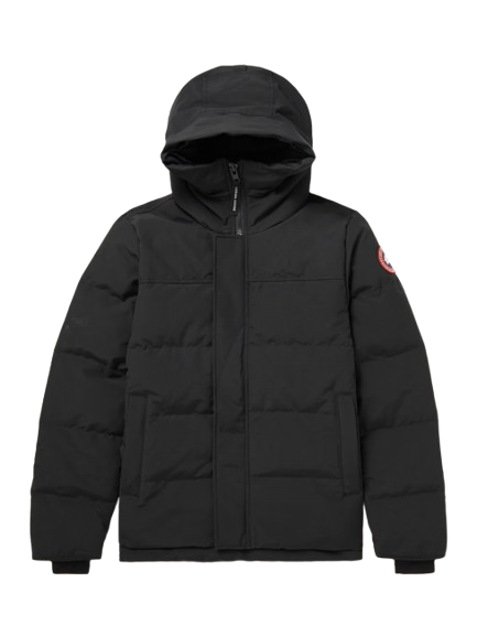 Canada Goose