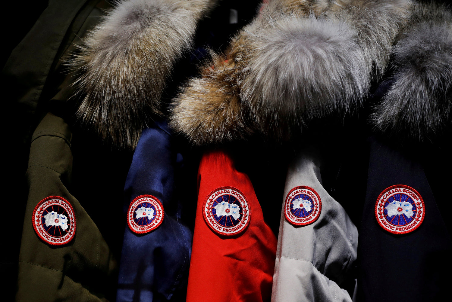 Canada Goose