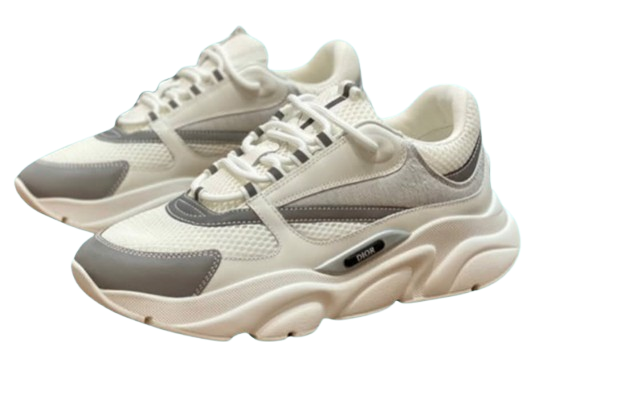 Dior b22 White brodure
