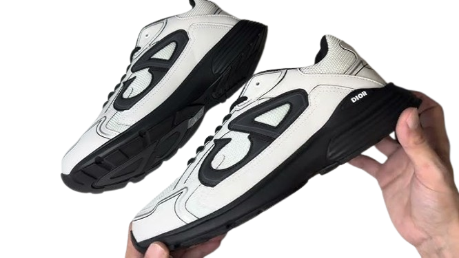 Dior B30 Blanc/Noir
