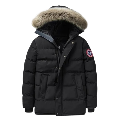 Veste Canada goose